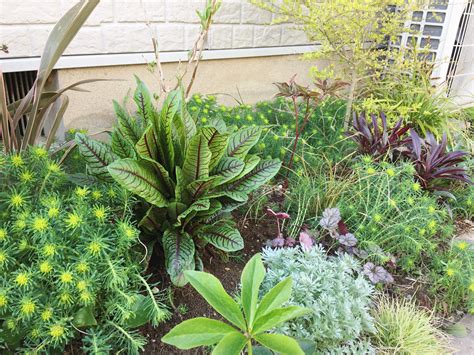 室外耐陰植物|日陰でも育つ花と植物30種！日陰に強い花や葉が美しい植物を紹。